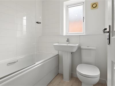 Picture 12